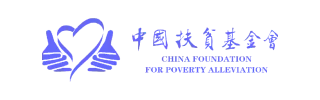 项目案例 项目案例